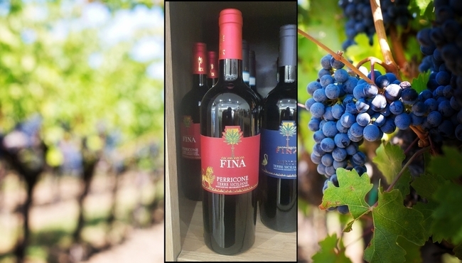 Cantine Fina | Perricone da 75cl